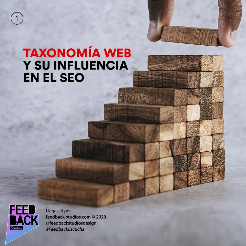 Taxonomía web y su influencia en el SEO 11 Taxonomía web y su influencia en el SEO